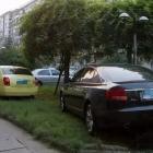 業(yè)主違規(guī)亂停車，物業(yè)怎樣做才合情、合理、又合法？